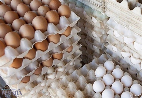 تخم مرغ در اردبیل